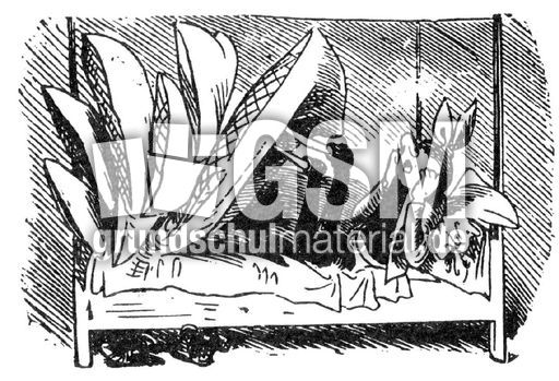 hohler-Zahn sw 11.jpg